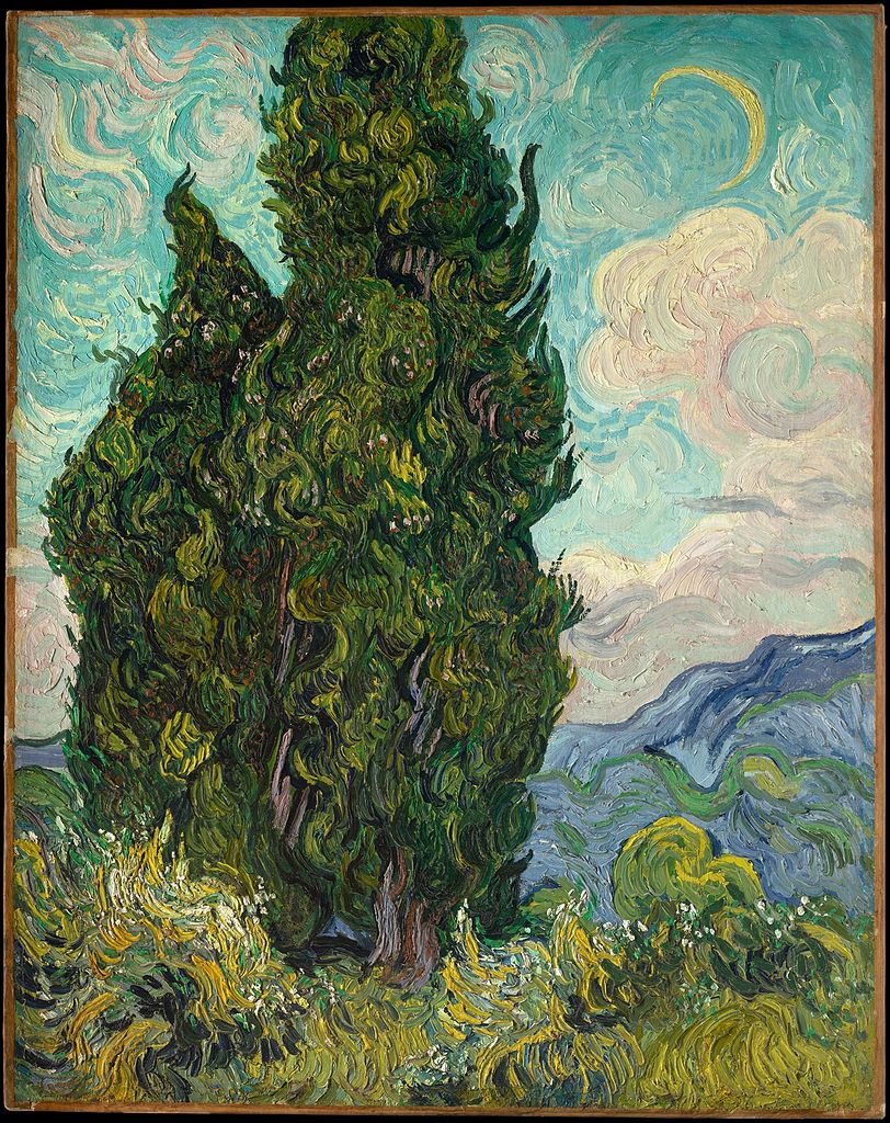 Cypresses 