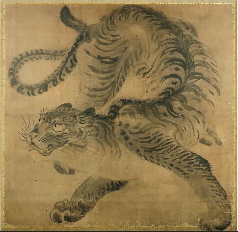tiger
